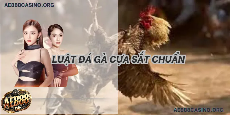Quy trình thực hiện Miễn trừ trách nhiệm AE888