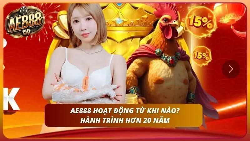 Quá trình hình thành và phát triển bền vững suốt hai thập kỷ