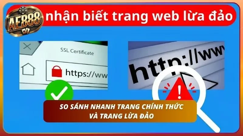 Cách kiểm tra tên miền và nhiều yếu tố giúp bet thủ né tránh cạm bẫy