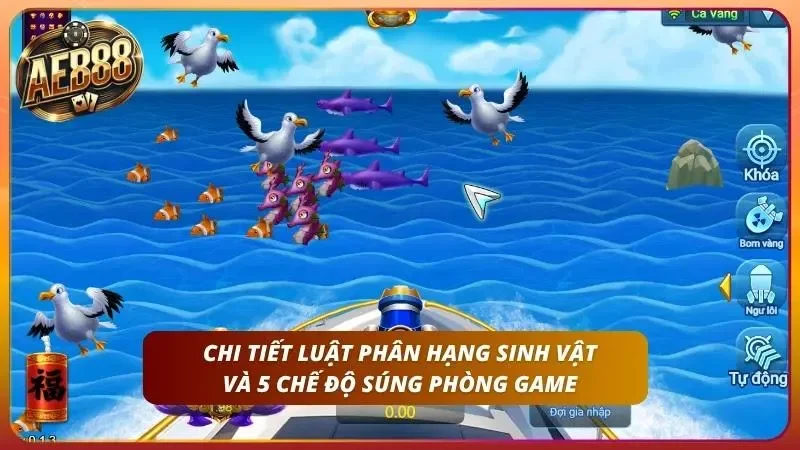 Chi tiết luật phân hạng tại sảnh