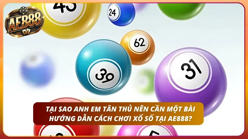 Lý do anh em nên chọn hướng dẫn bài bản của nhà cái