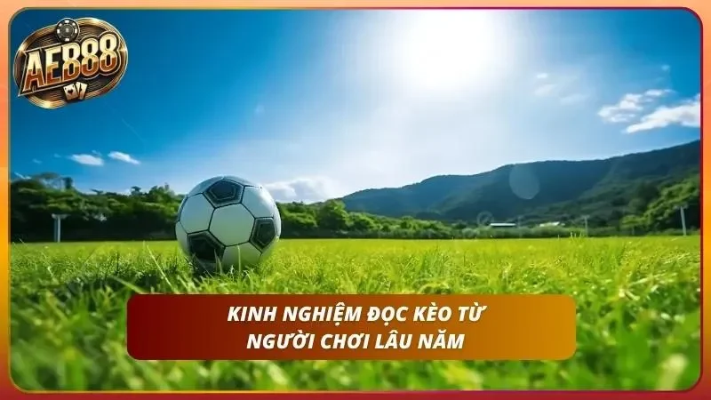 Cận cảnh bảng kèo với các con số