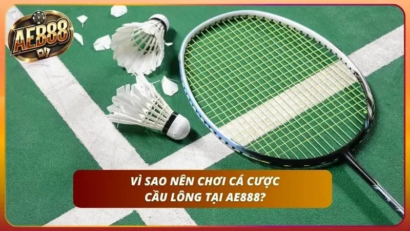 Cách Cược Cầu Lông tại AE888 – BWF, Olympic Chi Tiết Như Yonex 1 Lý do cá cược cầu lông của nhà cái nổi tiếng