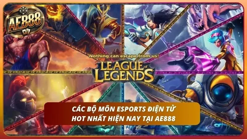 Tổng quan nhanh các bộ môn phổ biến nhất hiện nay