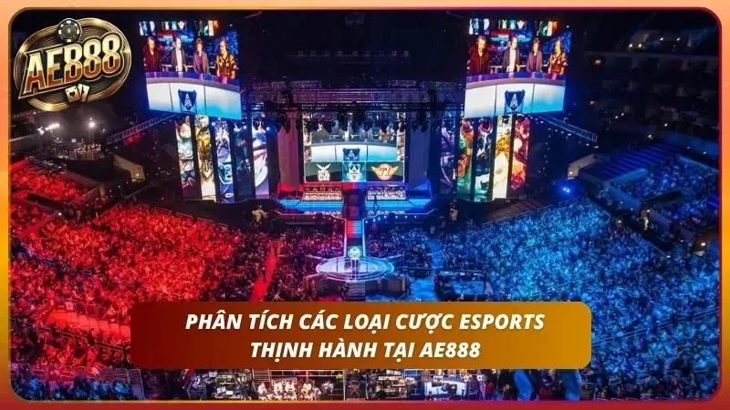 Hiểu rõ từng thể loại phổ biến hiện nay