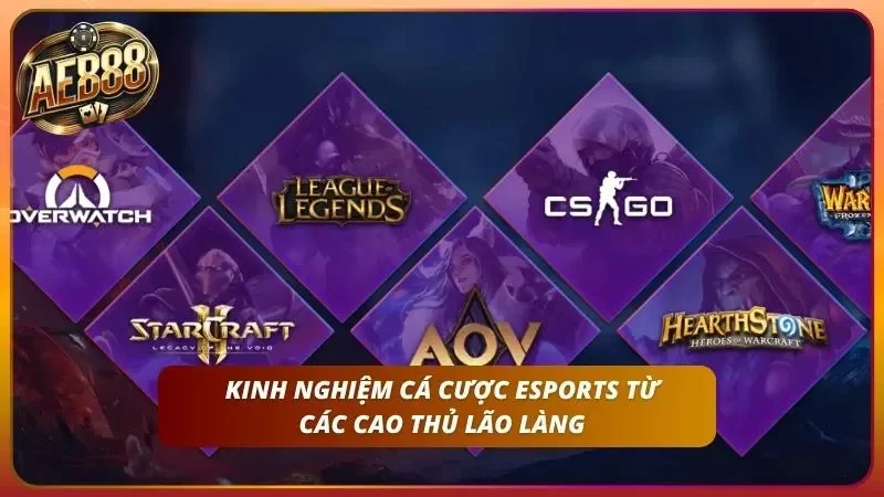 Bí kíp giữ mình và gia tăng lợi nhuận tại đây