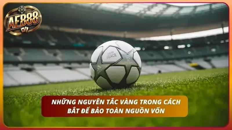 Thao tác quản lý dòng tiền cược hàng ngày qua ứng dụng số hóa