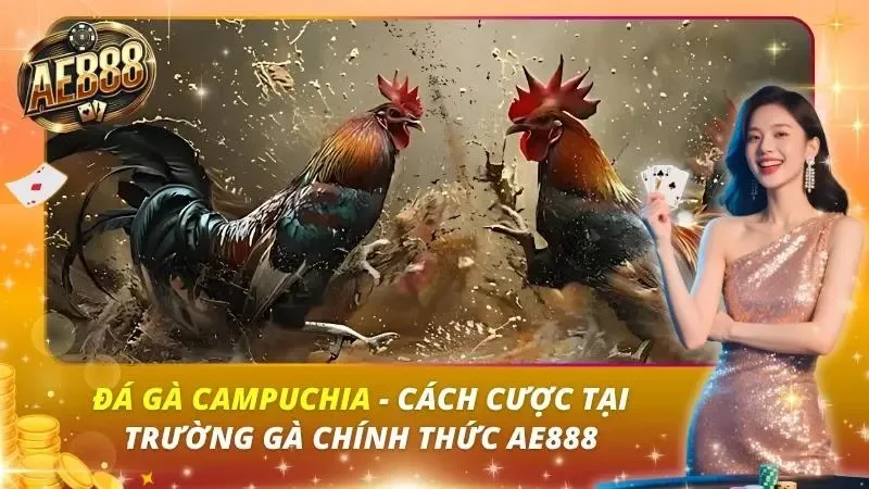 Đá Gà Campuchia – Cách Cược Tại Trường Gà Chính Thức AE888 Đá Gà Campuchia – Cách Cược Tại Trường Gà Chính Thức AE888