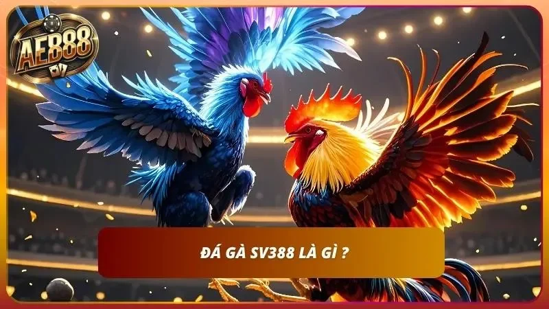 Tìm hiểu khái niệm Đá gà là như thế nào