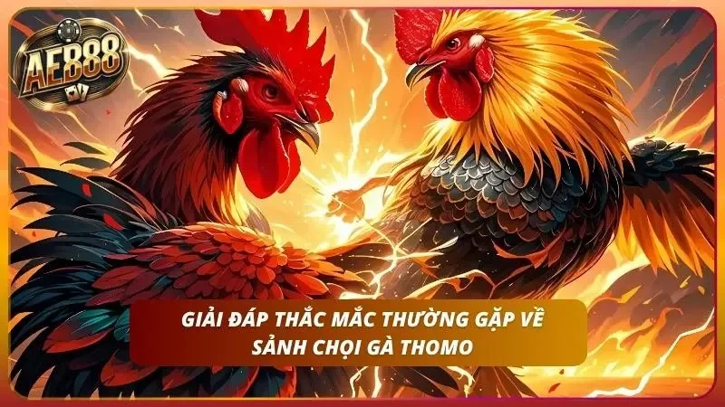 Cùng nhau giải đáp thắc mắc hay gặp tại AE888