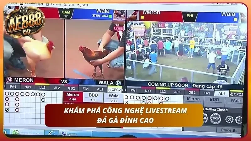 Tìm hiểu các tính năng livestream uy tín cùng AE888