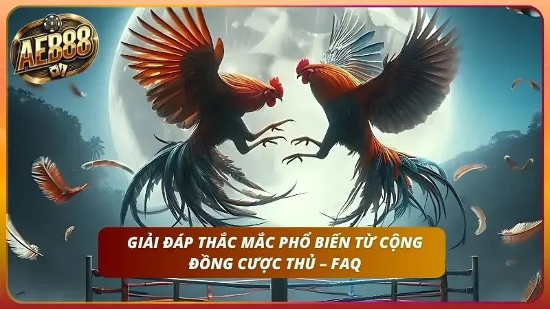 Tìm hiểu các giải đáp thắc mắc chỉ có tại AE888