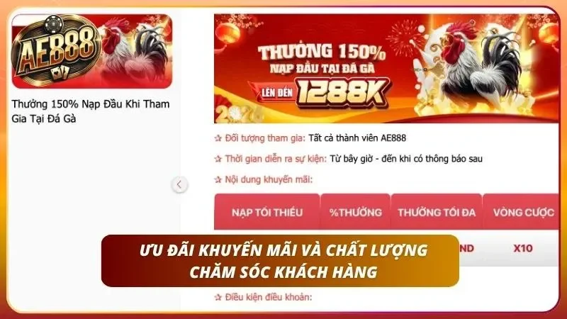 Đánh giá độ thực tế của các điều kiện vòng cược nhận thưởng