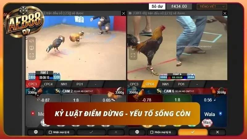 Thao tác nhập mã OTP rút tiền lợi nhuận về ngân hàng trên điện thoại.