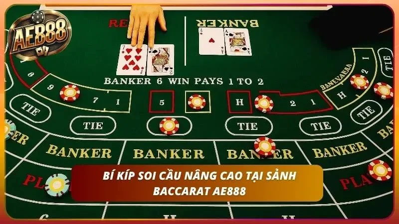 Minh họa các dạng cầu Baccarat thường gặp trong thực tế