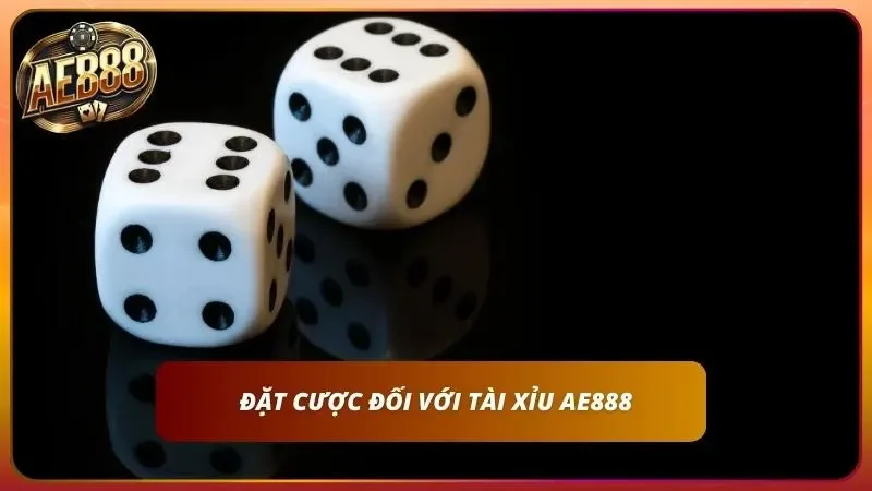 Lý giải về giai đoạn vào tiền trong Sicbo ở nhà cái