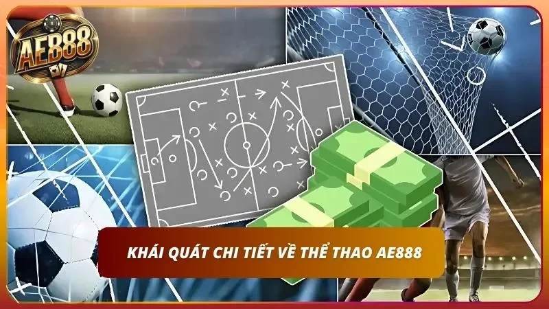 Giới thiệu sơ lược về thể thao cho Newbie
