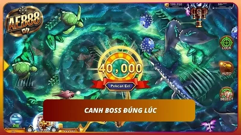 Canh boss đúng thời điểm