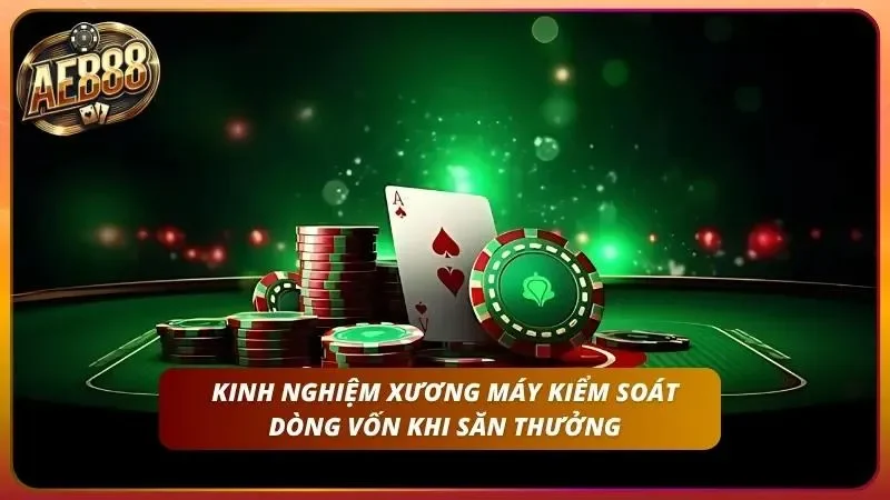Chiến thuật phân bổ vốn Kelly và thiết lập ranh giới dừng lỗ stop-loss nghiêm ngặt.