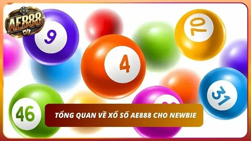 Khám phá xổ số chi tiết cho Newbie từ a đến z